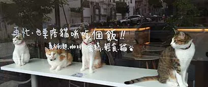 橘光呼嚕x背包Cat 貓の咖啡館