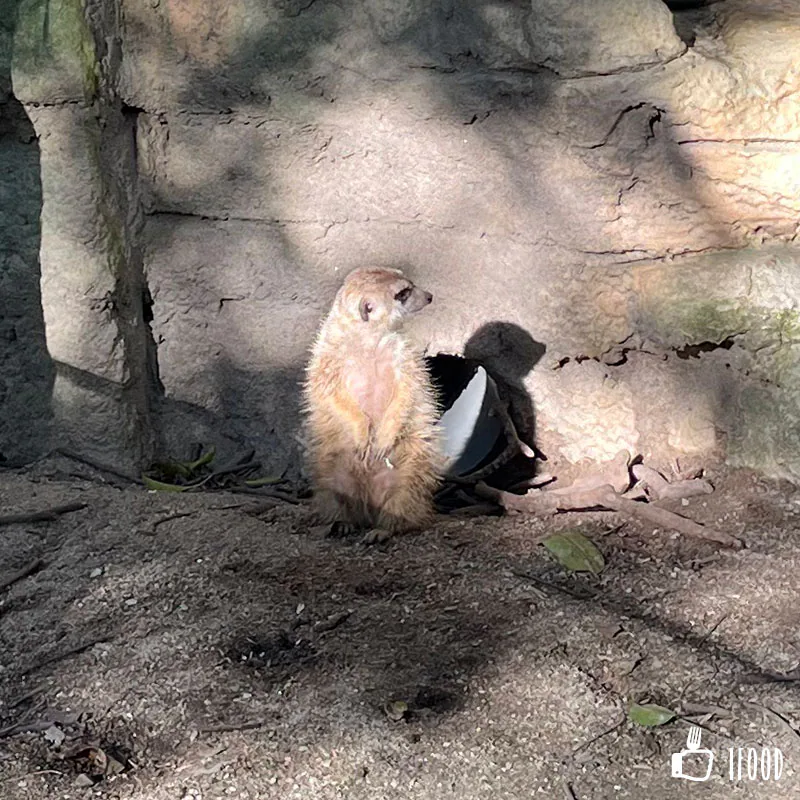 台北市立動物園