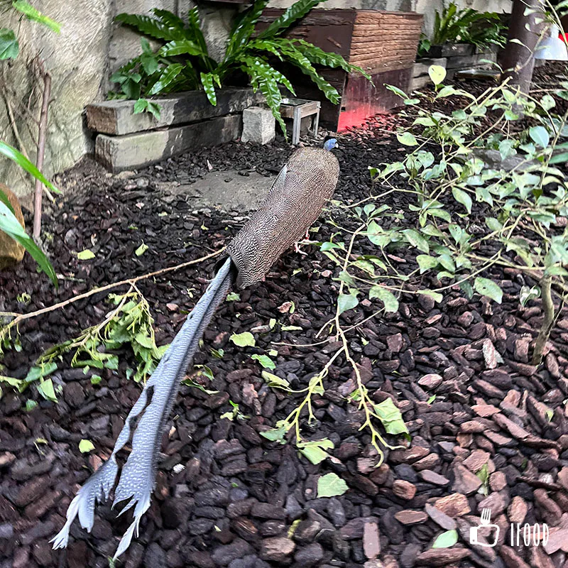 台北市立動物園