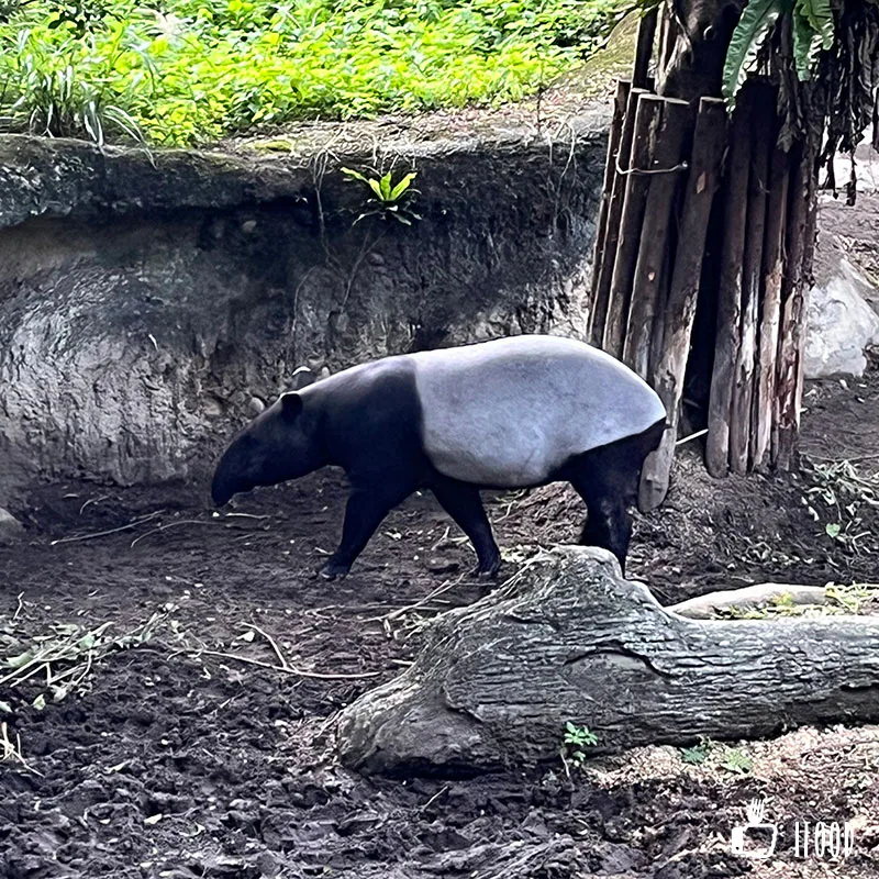 台北市立動物園