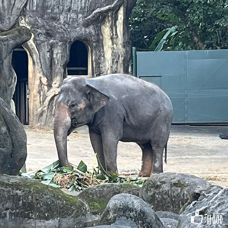 台北市立動物園