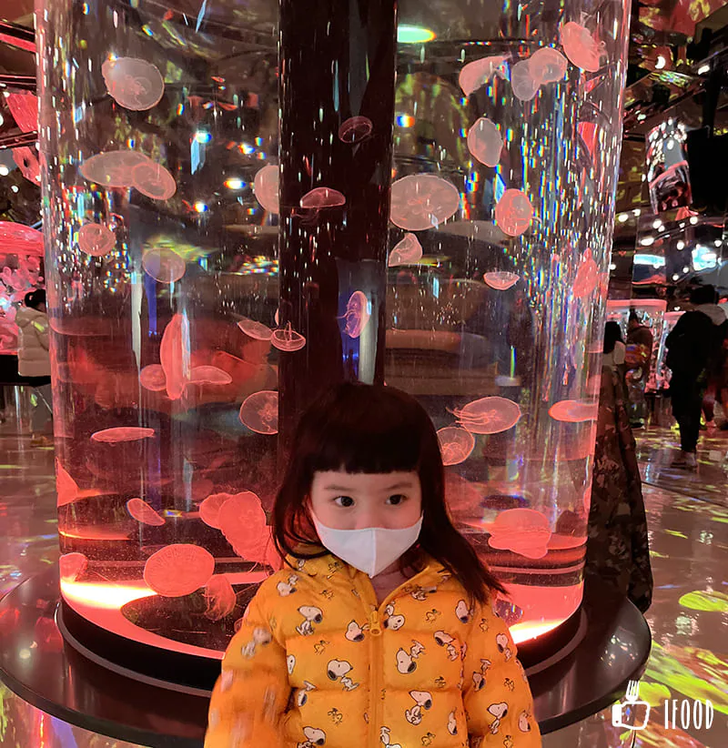 IMG 0454