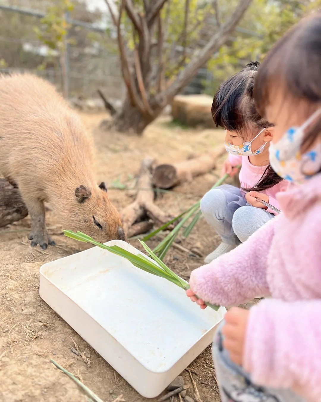 四重溪溫泉公園-卡比園區