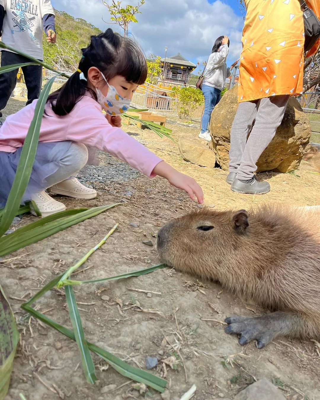 四重溪溫泉公園-卡比園區