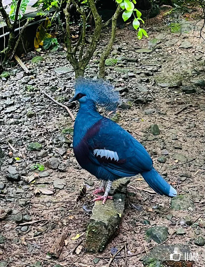 park fhk8